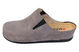model BZ245
